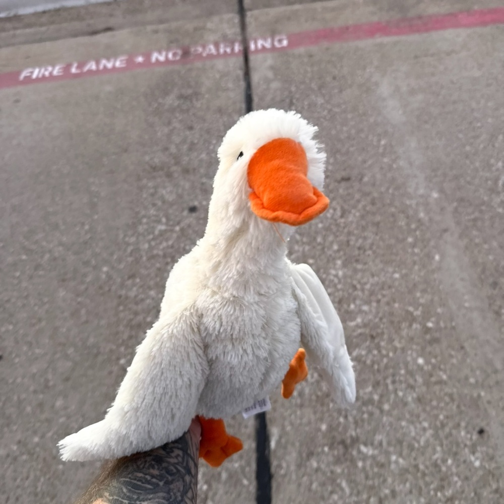 Meet your Posher, Kortni